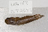  ( - UG0183)  @13 [ ] CreativeCommons - Attribution (2009) Unspecified Centre for Biodiversity Genomics