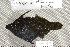  ( - UG0193)  @13 [ ] CreativeCommons - Attribution (2009) Unspecified Centre for Biodiversity Genomics
