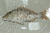  ( - UG0237)  @13 [ ] CreativeCommons - Attribution (2009) Unspecified Centre for Biodiversity Genomics