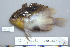  ( - UG0265)  @13 [ ] CreativeCommons - Attribution (2009) Unspecified Centre for Biodiversity Genomics
