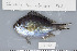  ( - UG0266)  @12 [ ] CreativeCommons - Attribution (2009) Unspecified Centre for Biodiversity Genomics