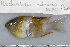  ( - UG0273)  @11 [ ] CreativeCommons - Attribution (2009) Unspecified Centre for Biodiversity Genomics