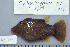  ( - UG0279)  @14 [ ] CreativeCommons - Attribution (2009) Unspecified Centre for Biodiversity Genomics