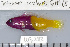  ( - UG0282)  @13 [ ] CreativeCommons - Attribution (2009) Unspecified Centre for Biodiversity Genomics