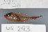  ( - UG0293)  @11 [ ] CreativeCommons - Attribution (2009) Unspecified Centre for Biodiversity Genomics