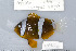  ( - UG0302)  @14 [ ] CreativeCommons - Attribution (2009) Unspecified Centre for Biodiversity Genomics
