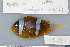  ( - UG0303)  @13 [ ] CreativeCommons - Attribution (2009) Unspecified Centre for Biodiversity Genomics