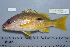  ( - UG0312)  @13 [ ] CreativeCommons - Attribution (2009) Unspecified Centre for Biodiversity Genomics