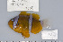  ( - UG0321)  @13 [ ] CreativeCommons - Attribution (2009) Unspecified Centre for Biodiversity Genomics