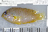  ( - UG0322)  @14 [ ] CreativeCommons - Attribution (2009) Unspecified Centre for Biodiversity Genomics