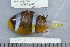  ( - UG0365)  @11 [ ] CreativeCommons - Attribution (2009) Unspecified Centre for Biodiversity Genomics