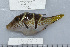  ( - UG0372)  @13 [ ] CreativeCommons - Attribution (2009) Unspecified Centre for Biodiversity Genomics