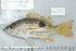  ( - UG0479)  @11 [ ] CreativeCommons - Attribution (2009) Unspecified Centre for Biodiversity Genomics
