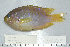 ( - UG0525)  @14 [ ] CreativeCommons - Attribution (2009) Unspecified Centre for Biodiversity Genomics