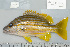  ( - UG0554)  @13 [ ] CreativeCommons - Attribution (2009) Unspecified Centre for Biodiversity Genomics