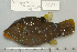  ( - UG0567)  @14 [ ] CreativeCommons - Attribution (2009) Unspecified Centre for Biodiversity Genomics