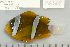  ( - UG0568)  @14 [ ] CreativeCommons - Attribution (2009) Unspecified Centre for Biodiversity Genomics