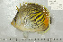  ( - UG0575)  @13 [ ] CreativeCommons - Attribution (2009) Unspecified Centre for Biodiversity Genomics