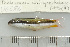  ( - UG0586)  @12 [ ] CreativeCommons - Attribution (2009) Unspecified Centre for Biodiversity Genomics