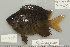  ( - UG0598)  @13 [ ] CreativeCommons - Attribution (2009) Unspecified Centre for Biodiversity Genomics