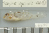  ( - UG0607)  @11 [ ] CreativeCommons - Attribution (2009) Unspecified Centre for Biodiversity Genomics