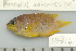  ( - UG0614)  @13 [ ] CreativeCommons - Attribution (2009) Unspecified Centre for Biodiversity Genomics