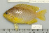  ( - UG0615)  @14 [ ] CreativeCommons - Attribution (2009) Unspecified Centre for Biodiversity Genomics