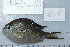  ( - UG0637)  @14 [ ] CreativeCommons - Attribution (2009) Unspecified Centre for Biodiversity Genomics