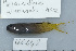  ( - UG0648)  @14 [ ] CreativeCommons - Attribution (2009) Unspecified Centre for Biodiversity Genomics