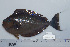 ( - UG0657)  @13 [ ] CreativeCommons - Attribution (2009) Unspecified Centre for Biodiversity Genomics