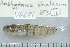  ( - UG0681)  @12 [ ] CreativeCommons - Attribution (2009) Unspecified Centre for Biodiversity Genomics