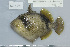  ( - UG0685)  @13 [ ] CreativeCommons - Attribution (2009) Unspecified Centre for Biodiversity Genomics