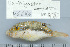  ( - UG0686)  @14 [ ] CreativeCommons - Attribution (2009) Unspecified Centre for Biodiversity Genomics