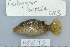  ( - UG0695)  @14 [ ] CreativeCommons - Attribution (2009) Unspecified Centre for Biodiversity Genomics