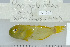  ( - UG0717)  @13 [ ] CreativeCommons - Attribution (2009) Unspecified Centre for Biodiversity Genomics