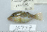  ( - UG0757)  @14 [ ] CreativeCommons - Attribution (2009) Unspecified Centre for Biodiversity Genomics