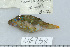  ( - UG0758)  @14 [ ] CreativeCommons - Attribution (2009) Unspecified Centre for Biodiversity Genomics