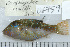  ( - UG0759)  @14 [ ] CreativeCommons - Attribution (2009) Unspecified Centre for Biodiversity Genomics