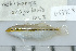  ( - UG0763)  @13 [ ] CreativeCommons - Attribution (2009) Unspecified Centre for Biodiversity Genomics