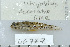  (Istigobius decoratus - UG0777)  @13 [ ] CreativeCommons - Attribution (2009) Unspecified Centre for Biodiversity Genomics