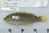  ( - UG0781)  @11 [ ] CreativeCommons - Attribution (2009) Unspecified Centre for Biodiversity Genomics