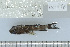  ( - UG0796)  @13 [ ] CreativeCommons - Attribution (2009) Unspecified Centre for Biodiversity Genomics
