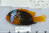  ( - UG0839)  @11 [ ] CreativeCommons - Attribution (2009) Unspecified Centre for Biodiversity Genomics