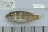  ( - UG0858)  @12 [ ] CreativeCommons - Attribution (2009) Unspecified Centre for Biodiversity Genomics