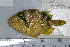  ( - UG0868)  @13 [ ] CreativeCommons - Attribution (2009) Unspecified Centre for Biodiversity Genomics