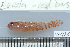  ( - UG0936)  @13 [ ] CreativeCommons - Attribution (2009) Unspecified Centre for Biodiversity Genomics