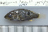  ( - UG0970)  @12 [ ] CreativeCommons - Attribution (2009) Unspecified Centre for Biodiversity Genomics