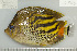  ( - UG0984)  @13 [ ] CreativeCommons - Attribution (2009) Unspecified Centre for Biodiversity Genomics