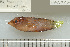  ( - UG1037)  @13 [ ] CreativeCommons - Attribution (2009) Unspecified Centre for Biodiversity Genomics