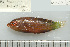  ( - UG1038)  @13 [ ] CreativeCommons - Attribution (2009) Unspecified Centre for Biodiversity Genomics